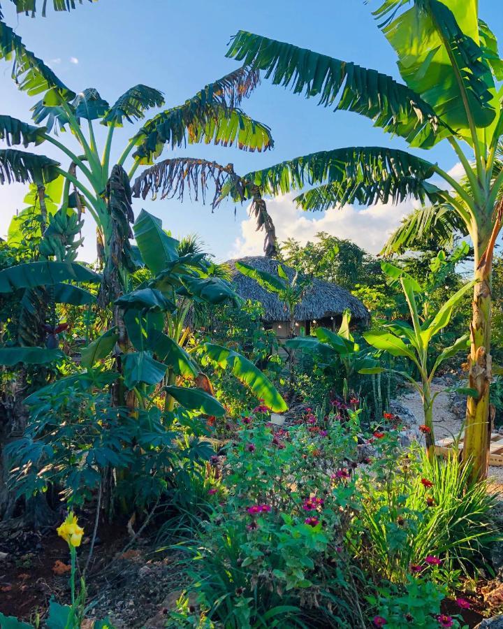 Guaiguei Bayahibe Villa Ngoại thất bức ảnh