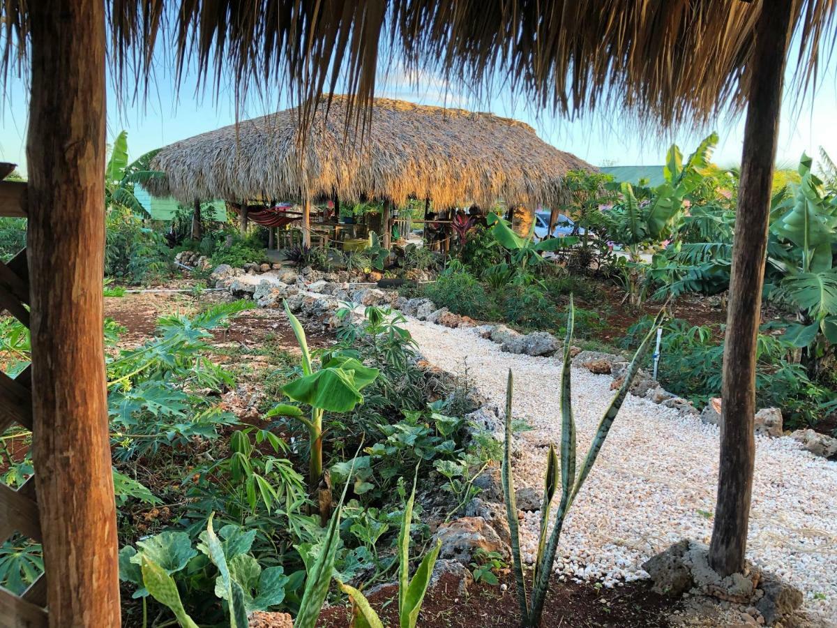 Guaiguei Bayahibe Villa Ngoại thất bức ảnh